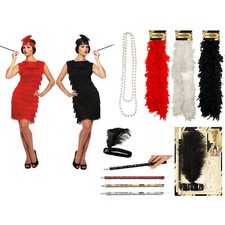 1920s Flapper Dress Costume