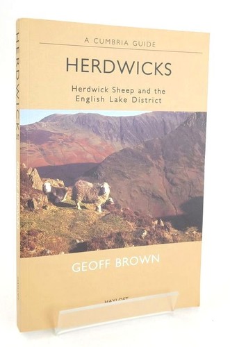 Herdwicks herdwick sheep and - herdwick,