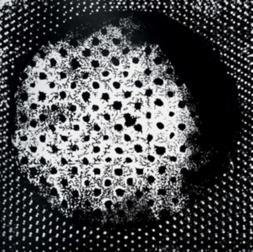 Patashnik biosphere vinyl - patashnik, by