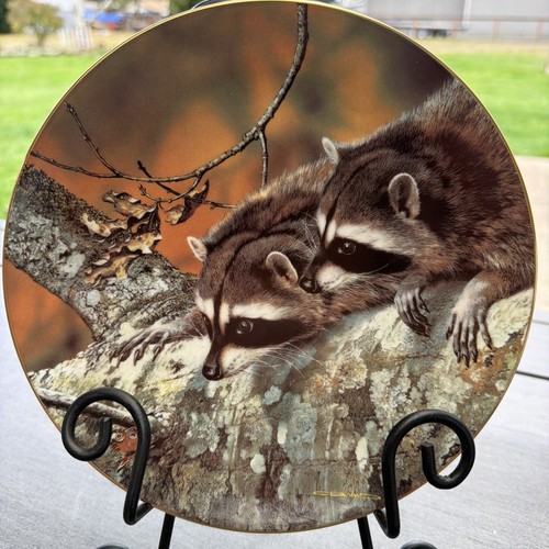 Fascination plate our - “fascination”,