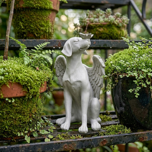 Angel dog memorial statue - angel,