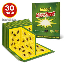 30 Pack Pest Trap Boards