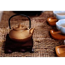 Cast iron japanese tetsubin - iron,