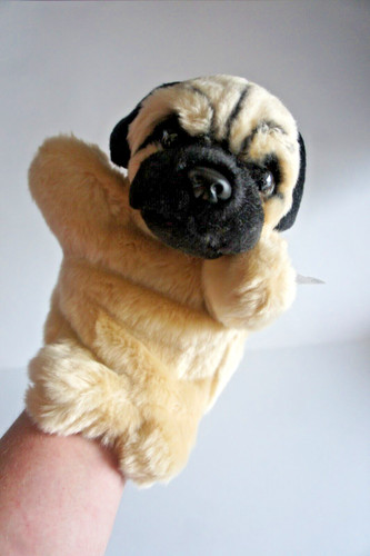 Pug hand puppet - pug,