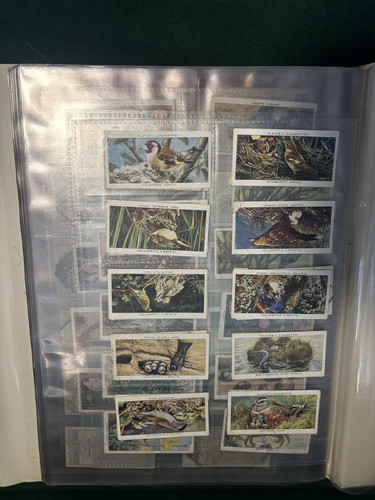 Bifold display folder - bifold, with