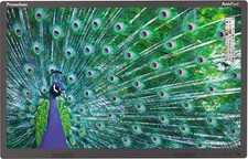 Promethean APT2-65 ActivPanel