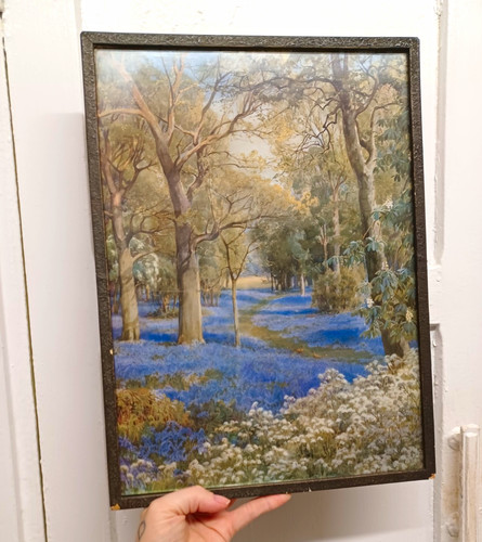 Framed woodland landscape - woodland,