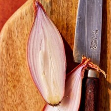 Banana Echalion Shallots Medium (30-45mm) - 2025/26 Season