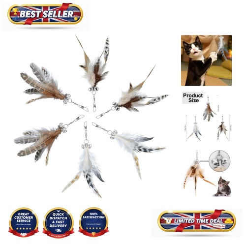 6pcs cat feather toys - cat, with