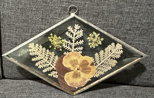 Vintage suncatcher pressed - vintage,