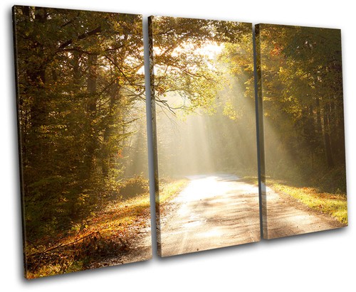 Forest landscapes treble - forest,