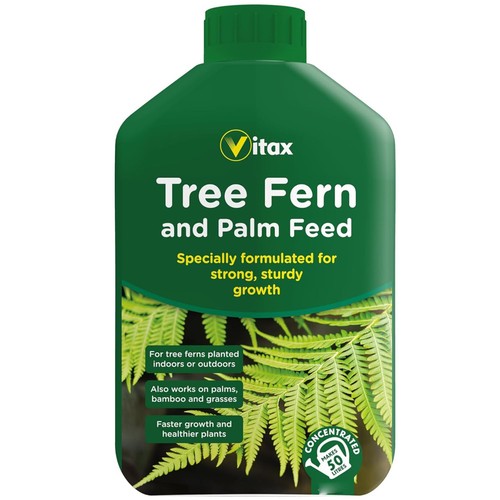 Vitax tree fern palm bamboo - tree,