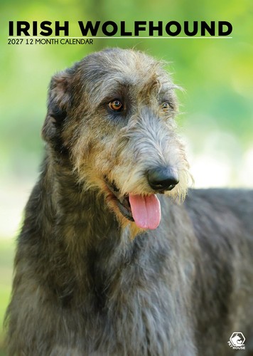 Irish wolfhound 2027 a3 wall - irish,