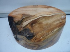 Pippy resin fill Yew bowl blank....woodturning  250 x 90mm #963
