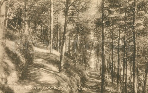 Minehead antique postcard - minehead,
