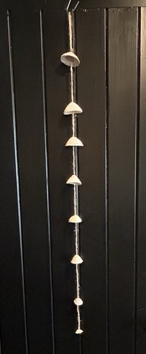 Coastal limpet seashell hanger - coastal,