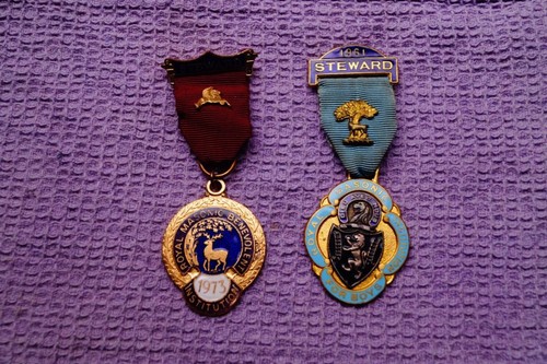 Masonic jewels nice pair - x,