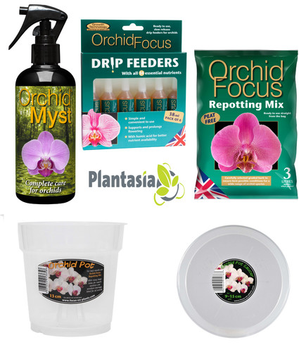 Orchid focus repotting - repotting, kit