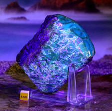 Large  Rare Natural Specimen