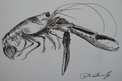 Original small hand drawn - original, pen