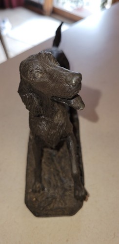 Irish setter heredities - irish,