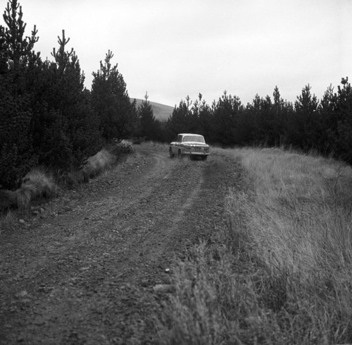 Renault gordini 1966 rally - renault,