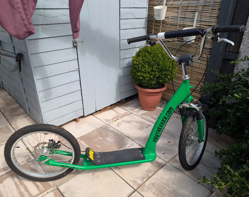 Pawtrekker green adult - green,