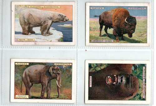 Players natural history 1924 - natural,