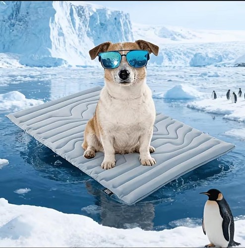 Chill paws dog cooling - paws,