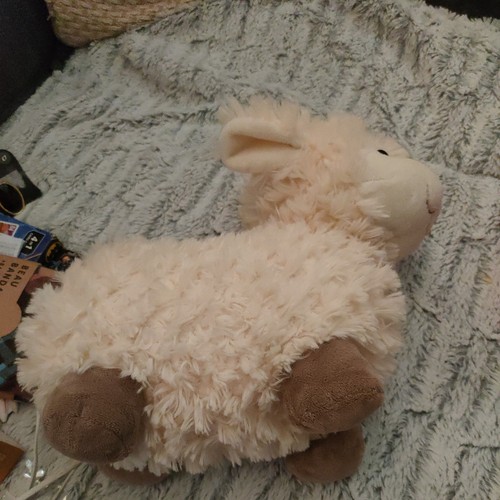 Keel sheep lamb - sheep, cream