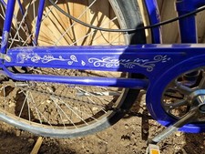 Liz Pepperell Raleigh Caprice Ladies Dutch Style Loop Bike cycle Flowers edition