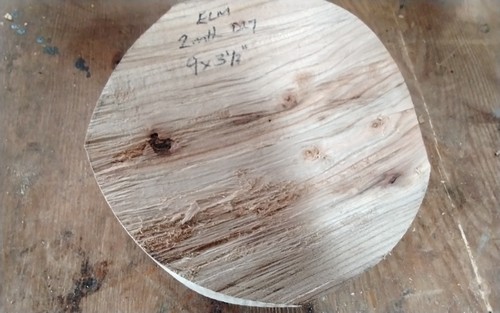 Spalted elm bowl blank - spalted, wood