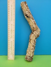 CORK BARK BRANCH 31CM SNAKE