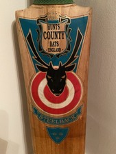 Hunts County Steelback English