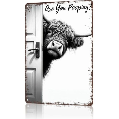 Fun animal metal tin paintings - fun,
