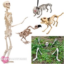 SKELETON PROP DECORATION
