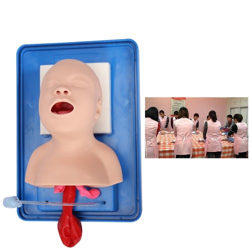 Lab airway intubation manikin - intubation,