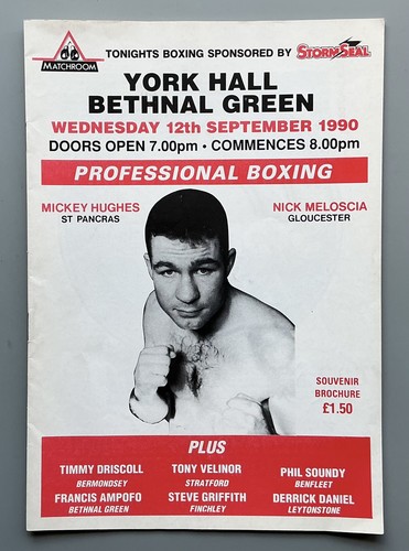 1990 professional boxing - 1990,