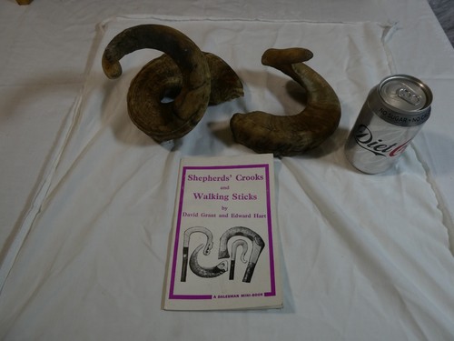 Swaledale ram tup horns - ram,