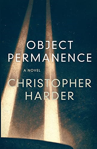 Object permanence paperback - object,