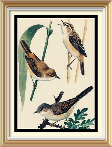 Original old 1947 litho - original,
