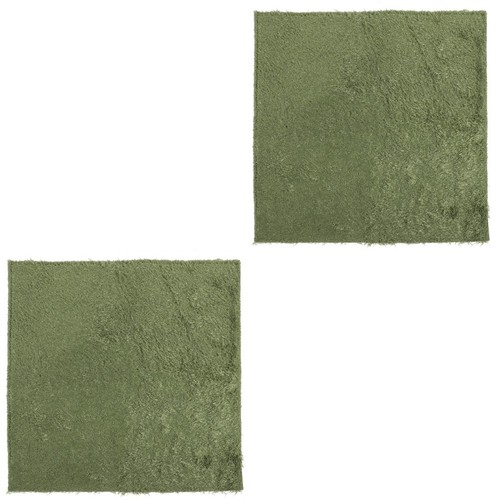 Set terrarium reptile mat - of,