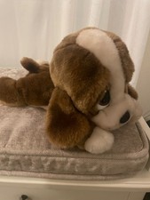 sad sam and honey cuddly dog