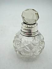 Small silver collared cut - small,