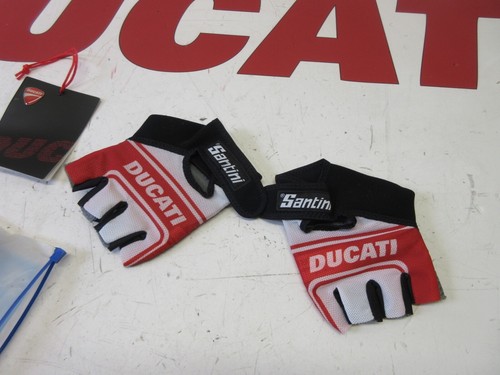 Ducati biking bike summer - ducati,