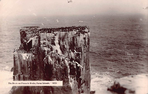 Family history postcard - family,