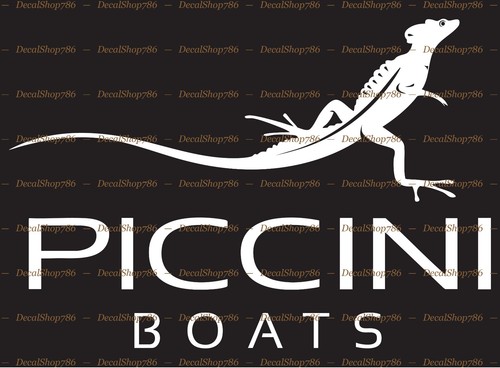 Paccini boats outdoor sports - paccini,