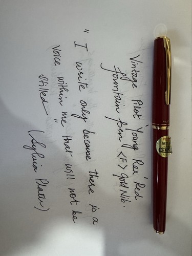 Pilot vintage red - vintage, pen