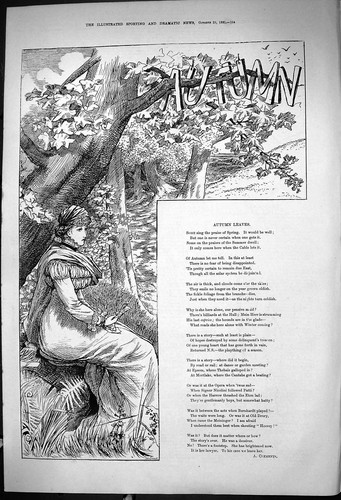 Old 1881 illustration - old,