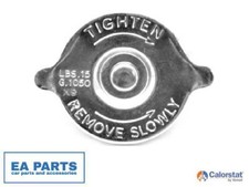 Sealing Cap, radiator